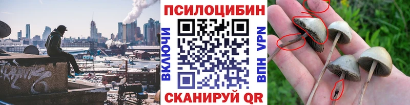 Псилоцибиновые грибы Magic Shrooms  Купить  Новокубанск 